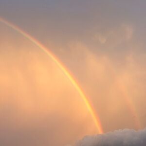 Meet your Posher, Callie